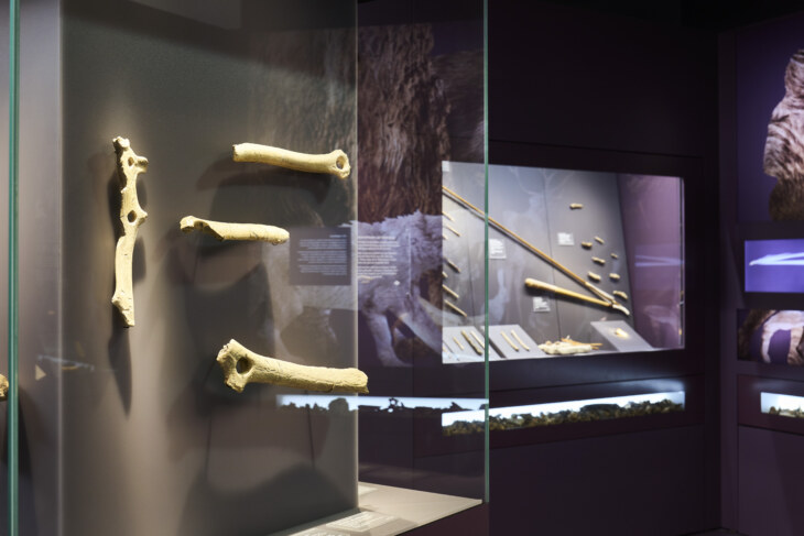 Blick in den Bereich der Altsteinzeit. In einer Vitrine sind Ritzzeichnungen auf Knochen zu sehen.