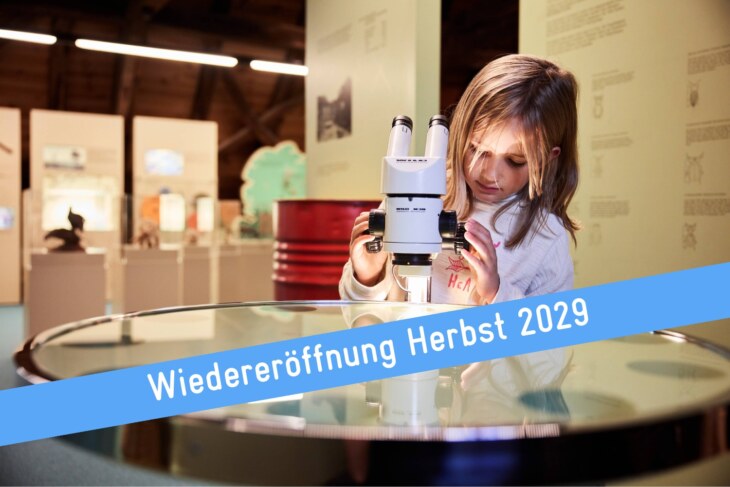 Mädchen schaut in ein Mikroskop in der Naturkundlichen Abteilung des Museum zu Allerheiligen