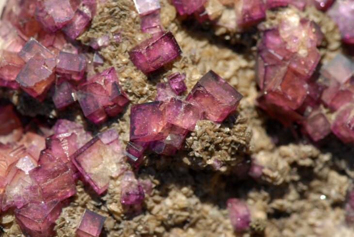 Foto von violetten Mineralien, darunter auch grau-braunes Gestein. Gehört der Sammlung der Naturgeschichte im Museum zu Allerheiligen an.