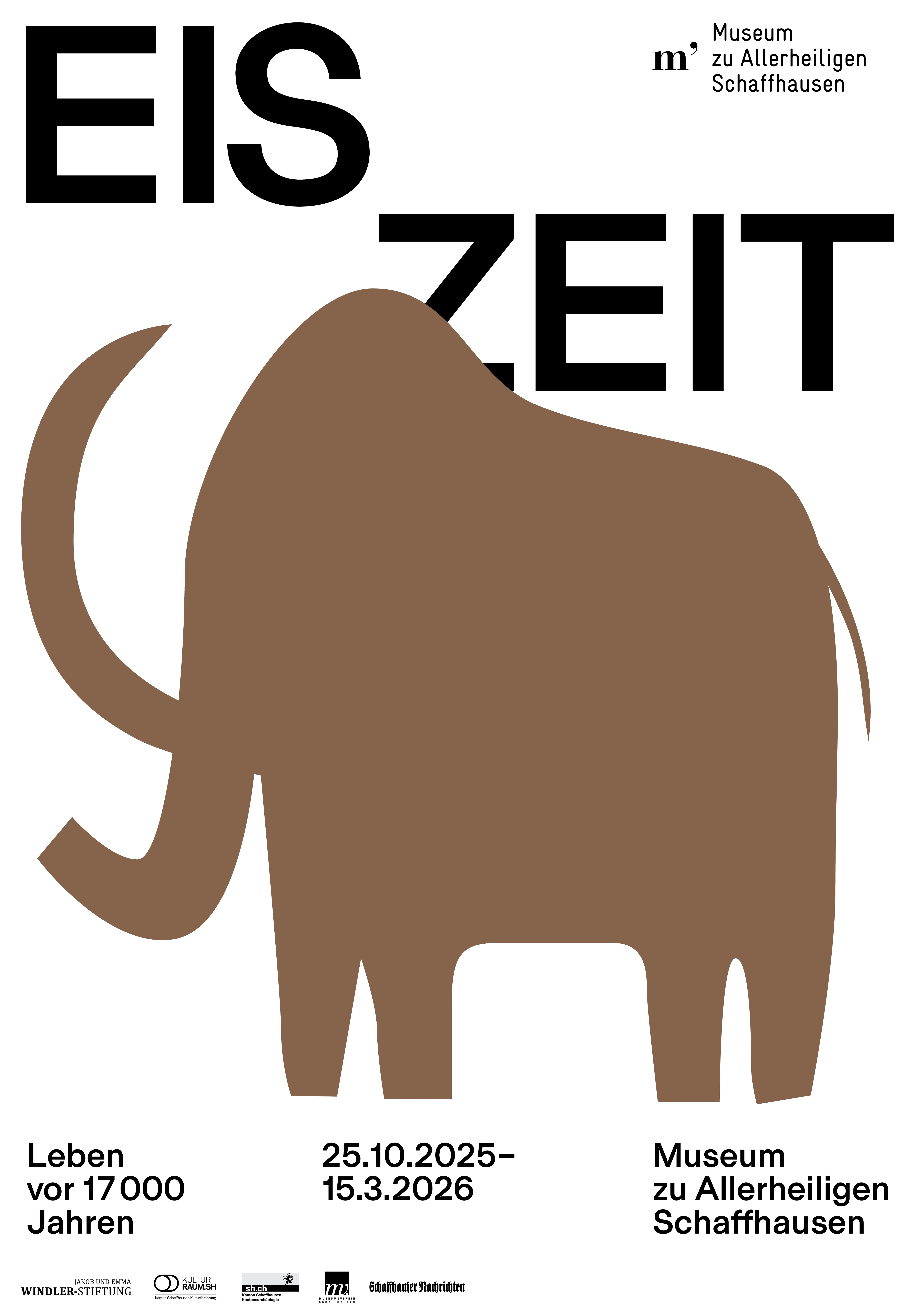 Plakat - Eiszeit (DIN A2)